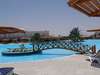 Desert Rose Resort 